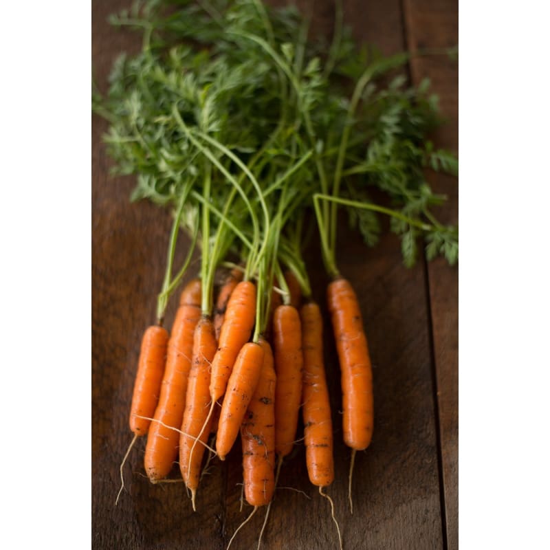 Adelaide Carrot (F1 Hybrid 65 Days)