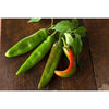 Anaheim Hot Pepper (Heirloom 80 Days) - Vegetables