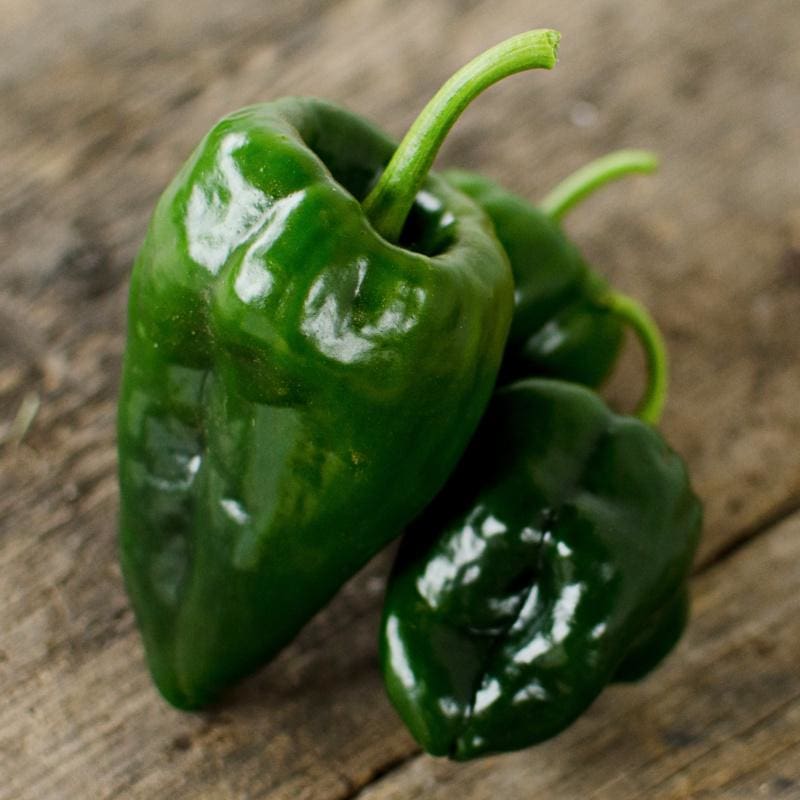 Ancho Hot Pepper (Heirloom 80 Days)