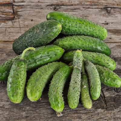 Artist Cucumber (F1 Hybrid 45 Days) - Vegetables