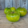 Aunt Rubys German Green Tomato (Heirloom 80 Days) - Vegetables