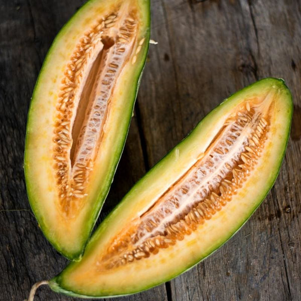 Banana Melon (Heirloom 80 Days) – Pinetree Garden Seeds