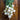 Barletta White Pickling Onion (65 Days) - Vegetables
