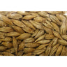Barley Cover Crop - Cover Crops