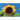 Sunflower - Black Russian - Flowers