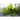 Black Seeded Simpson Lettuce (Heirloom 46 Days) - Vegetables