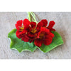 Nasturtium - Black Velvet - Flowers