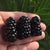 Blackberry ’Caddo’ (3 Plants) - Spring