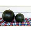 Blacktail Mountain Watermelon (70 Days) - Vegetables