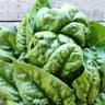 Bloomsdale Long Standing Spinach (Heirloom 42 Days) - Vegetables