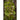 Bronze Mignonette Lettuce (53 Days) - Vegetables