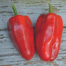 Buran Pepper (Heirloom 90 Days) - Vegetables