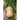 Butterbaby Butternut Winter Squash (F1 Hybrid 100 Days) - Vegetables