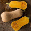 Butterscotch Winter Squash (F1 Hybrid 100 Days) - Vegetables