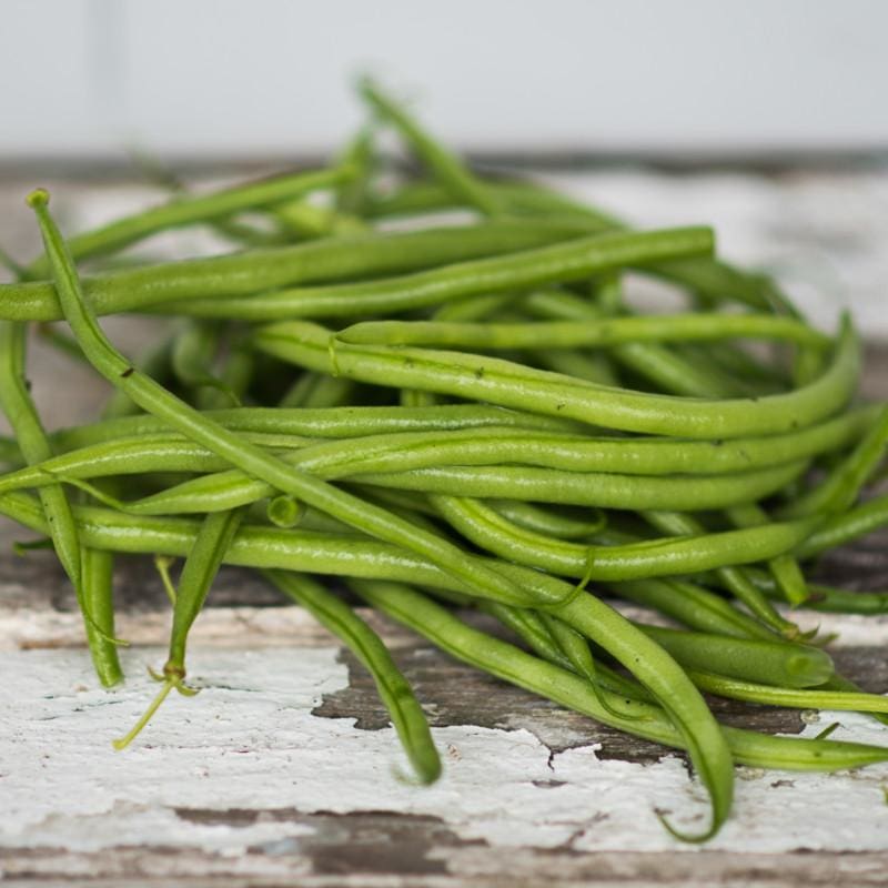 Calima Bush Bean (55 Days) - Vegetables