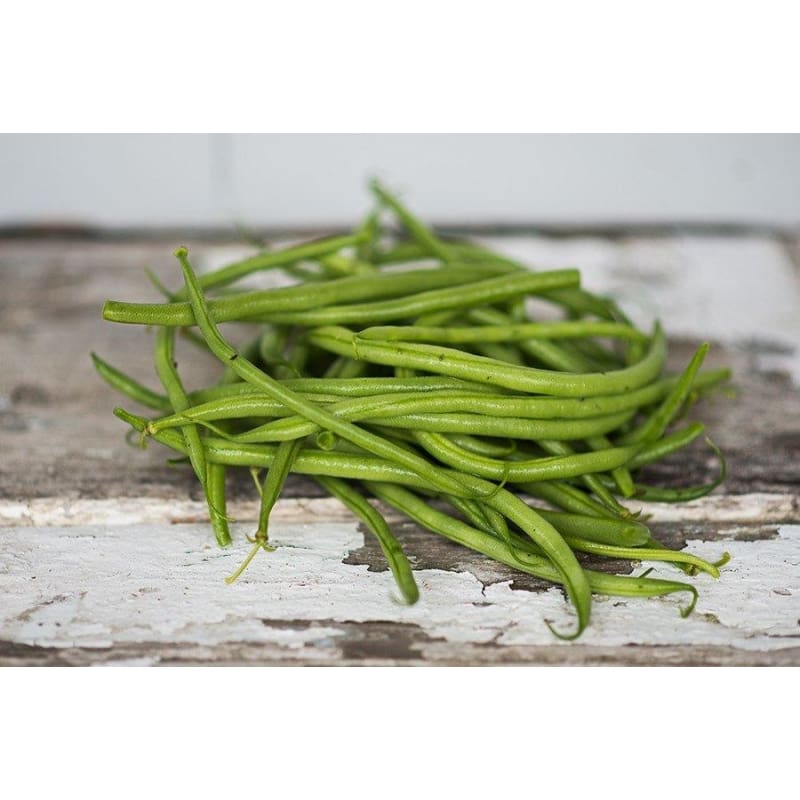 Calima Bush Bean (55 Days) - Vegetables