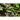 Calypso Cucumber (F1 Hybrid 50 Days) - Vegetables