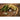 Cannellini Pole Dried Bean (Organic 85 Days) - Vegetables