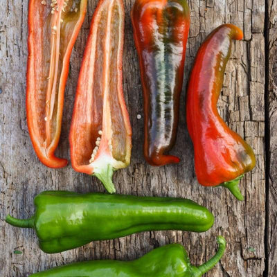 Carmen Pepper (F1 Hybrid 60-80 Days Organic) - Vegetables