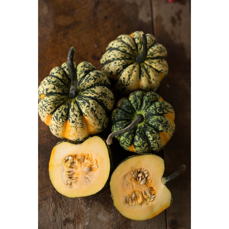 25+ Giant Rare Sweet Carnival Winter Squash Seeds - 2-3 Lbs Organically Grown
