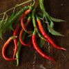 Cayenne-Long Pepper (Heirloom 70 Days) - Vegetables