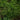 Chef’s Herb Garden Kit - Seed Collections