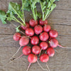 Cherriette Radish (F1 Hybrid 26 Days) - Vegetables