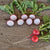 Cherriette Radish (F1 Hybrid 26 Days) - Vegetables