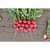 Cherriette Radish (F1 Hybrid 26 Days) - Vegetables