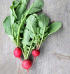 Cherry Belle Radish (Heirloom 21 Days) - Vegetables