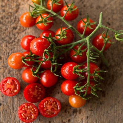 Cherry Bomb Tomato (Organic F1 Hybrid 64 Days) Vegetables