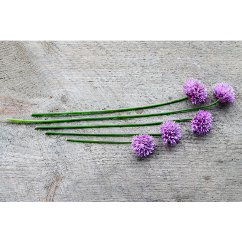 Chives