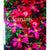 Clematis - Books