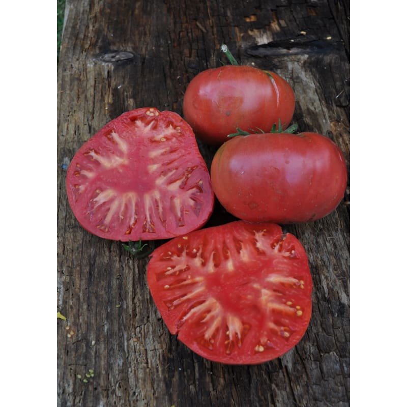 Climbing Triple Crop Tomato (80 Days) - Vegetables