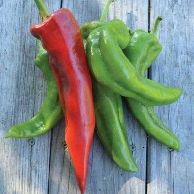 Corno Di Toro Pepper (Heirloom 72 Days) - Vegetables