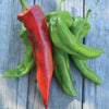 Corno Di Toro Yellow Pepper (Heirloom 72 Days) - Vegetables