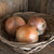 Cortland Onion (Organic F1 Hybrid 105 Days) - Vegetables