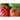 Country Taste Tomato ( F1 Hybrid 70 Days ) - Vegetables