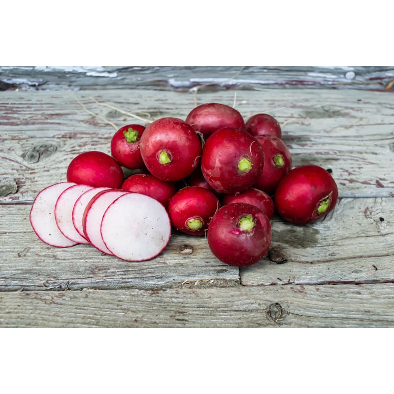 Crunchy King Radish (F1 Hybrid 23 Days) - Vegetables