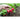Crunchy King Radish (F1 Hybrid 23 Days) - Vegetables