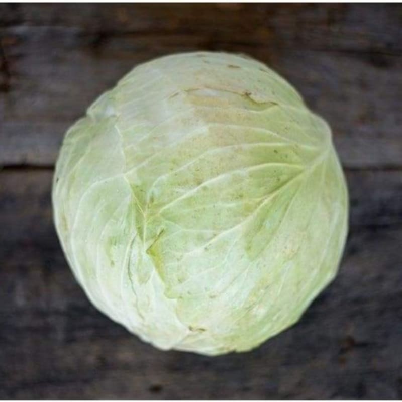 Danish Ballhead Cabbage (Heirloom, 90 Days)