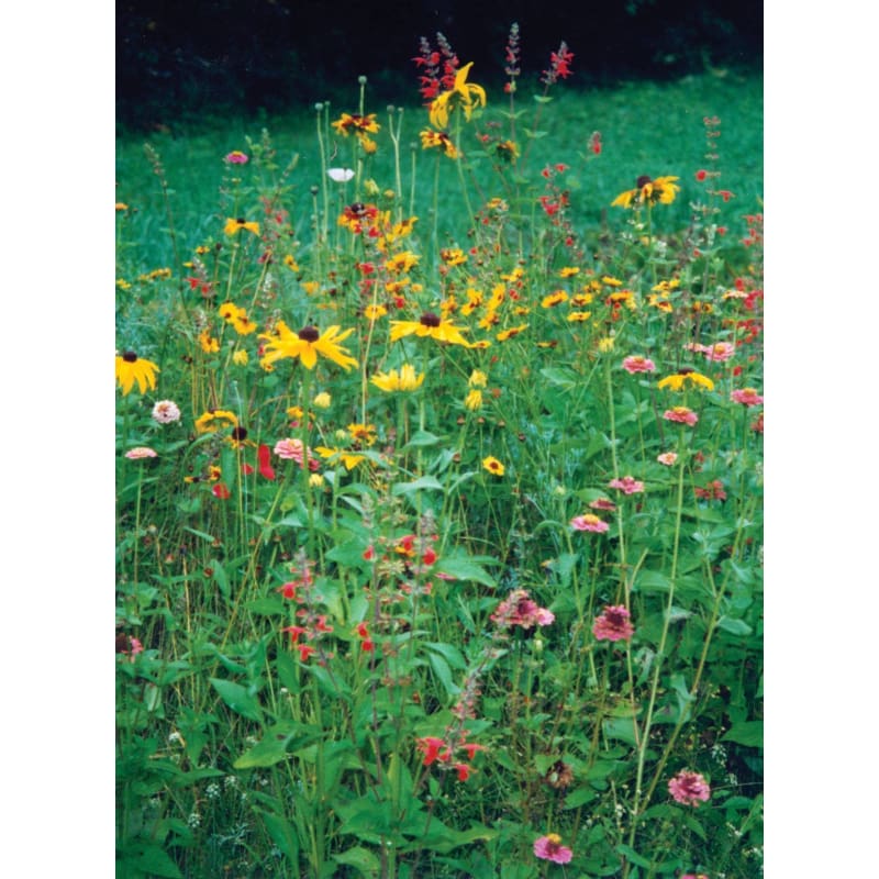 Deerproof Garden Flower Mix - Flowers