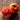Defiant Tomato (Organic F1 Hybrid 70 Days) - Vegetables