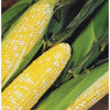 Delectable Corn (F1 Hybrid 80 Days) SE - Vegetables