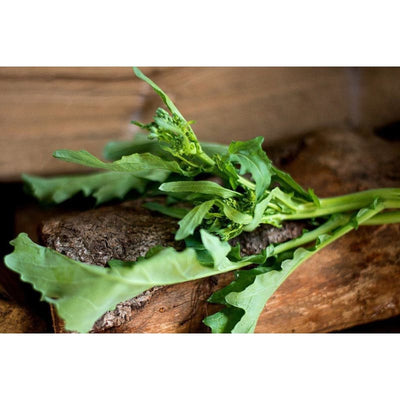 Di Rapa Novantina Broccoli (30 Days) - Vegetables