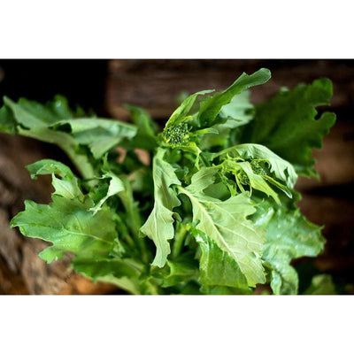 Di Rapa Novantina Broccoli (30 Days) - Vegetables