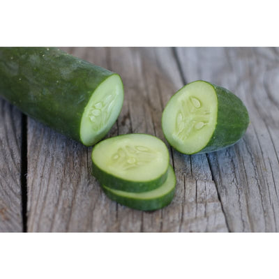 Diva Cucumber (58 Days) - Vegetables