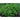 Dolce Fresca Basil - Herbs