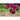 Double Click Cranberries Cosmos - Flowers