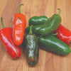 Early Jalapeño Hot Pepper (Heirloom 66 Days) - Vegetables